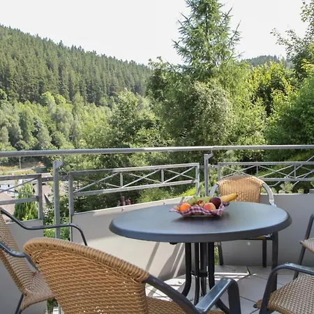 Residenz Muehlenberg In Willingen 2 *