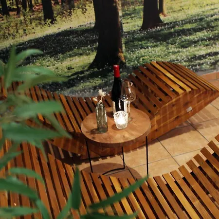 Residenz Mühlenberg In 2 Apartment Willingen (Upland)